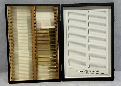 Vintage 1960s fisher - vintage,