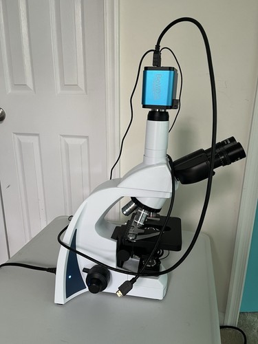Scientific microscope - i4,