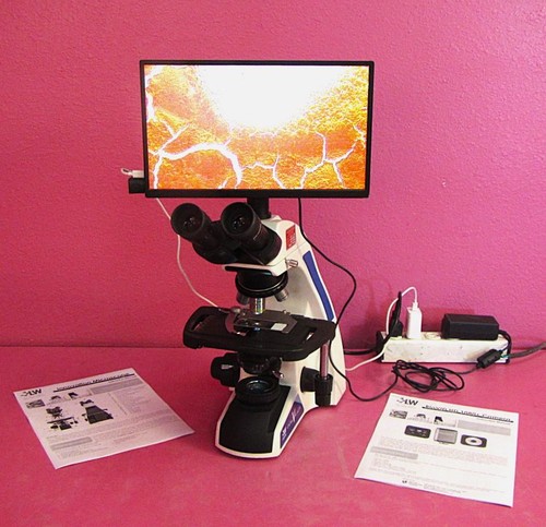 Scientific innovation - lw,