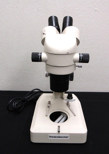 Fisher scientific stereomaster - fisher,